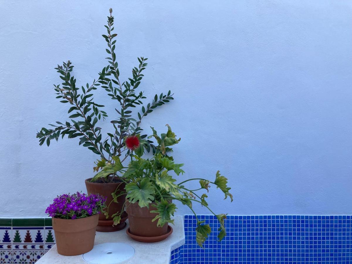 Casa Clemente 32, Private House With Plunge Pool Apartment Малага Екстериор снимка