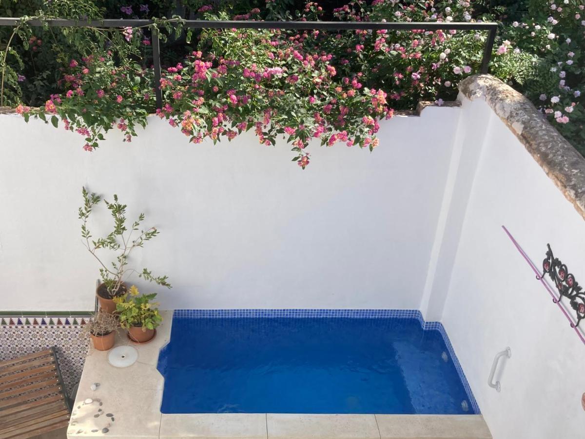 Casa Clemente 32, Private House With Plunge Pool Apartment Малага Екстериор снимка