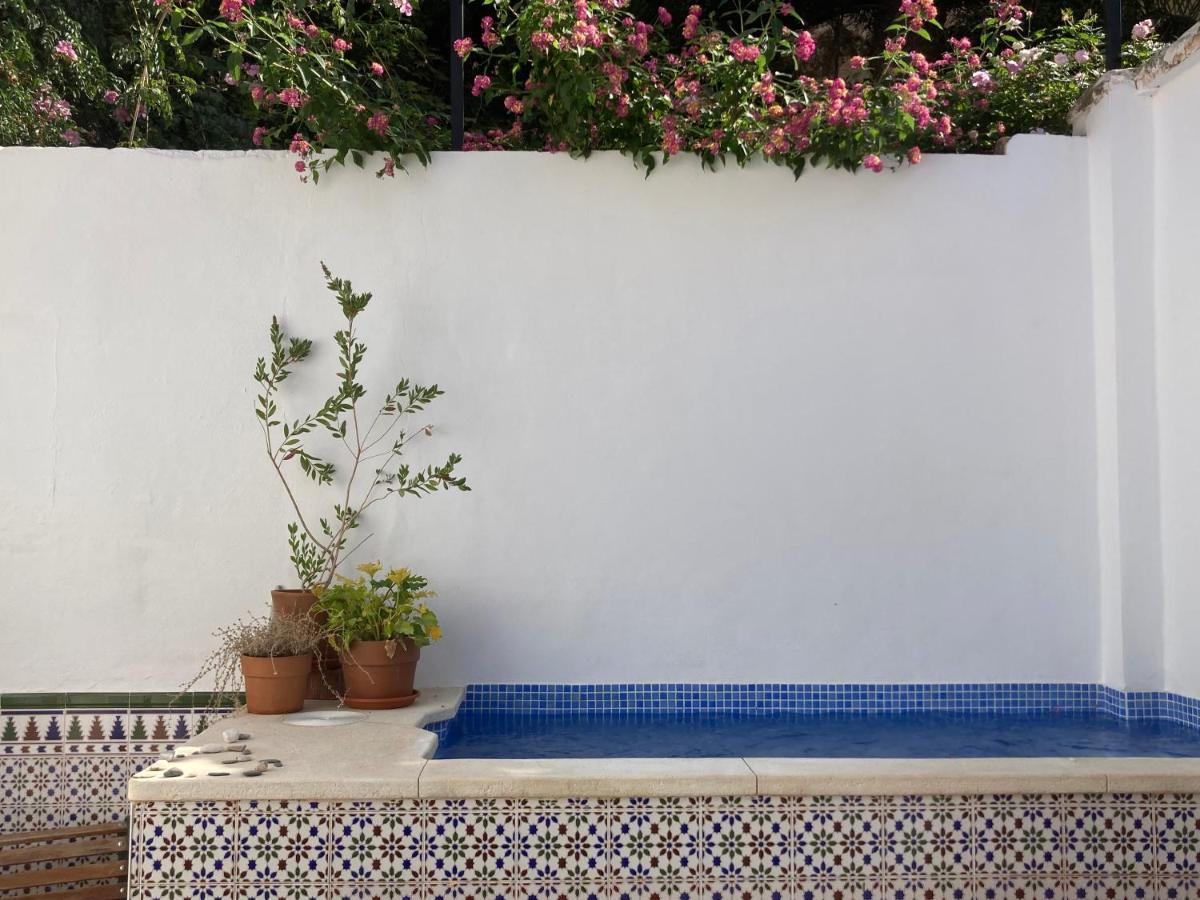 Casa Clemente 32, Private House With Plunge Pool Apartment Малага Екстериор снимка